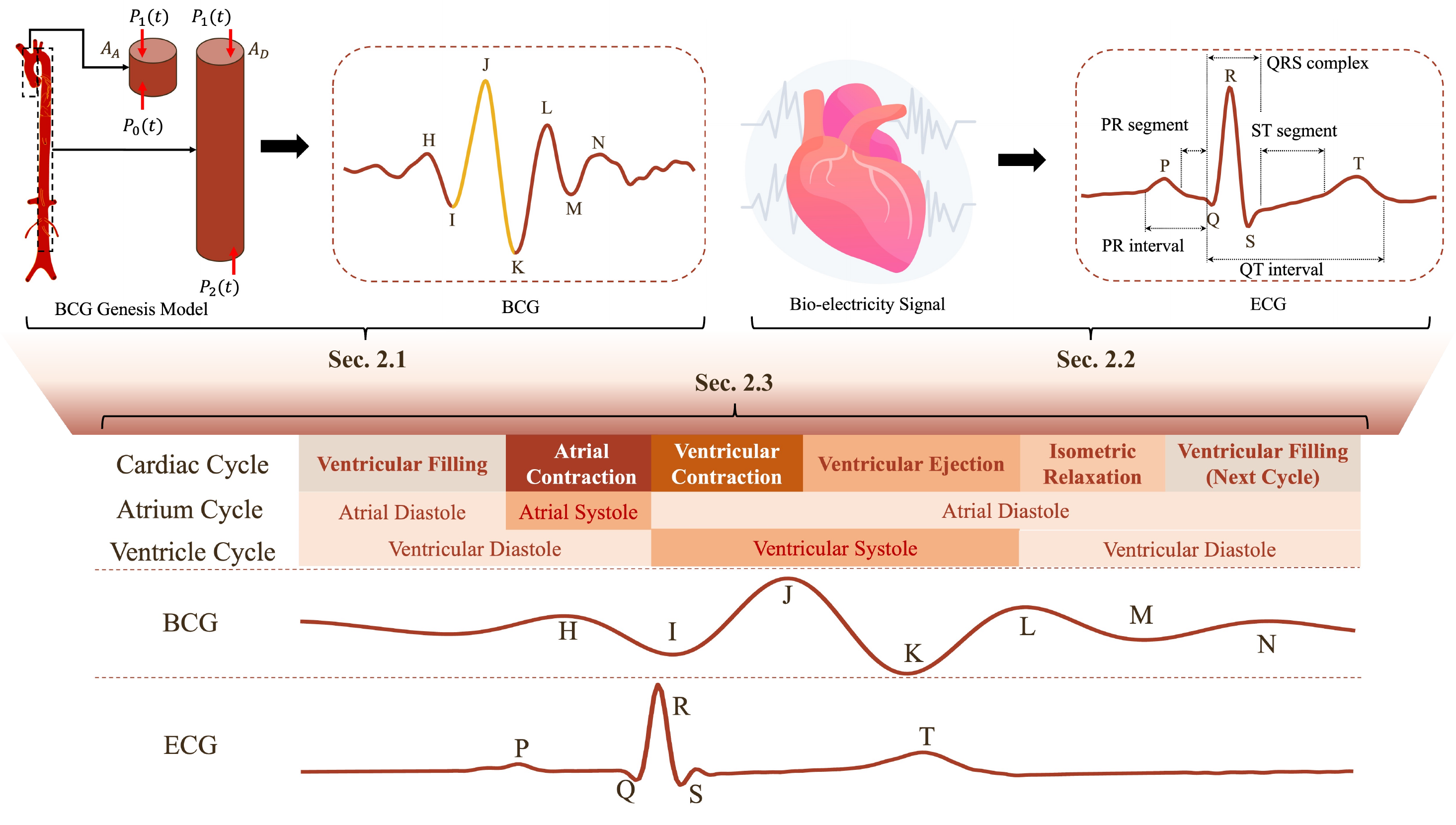Relationship between BCG and ECG cardiac events