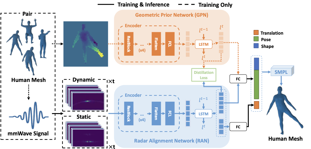 mmRehab radar alignment network and geometric prior network